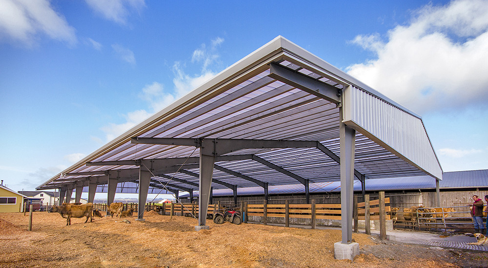 Steel Structure Livestock Farm Open-Walled Dairy Farm Building